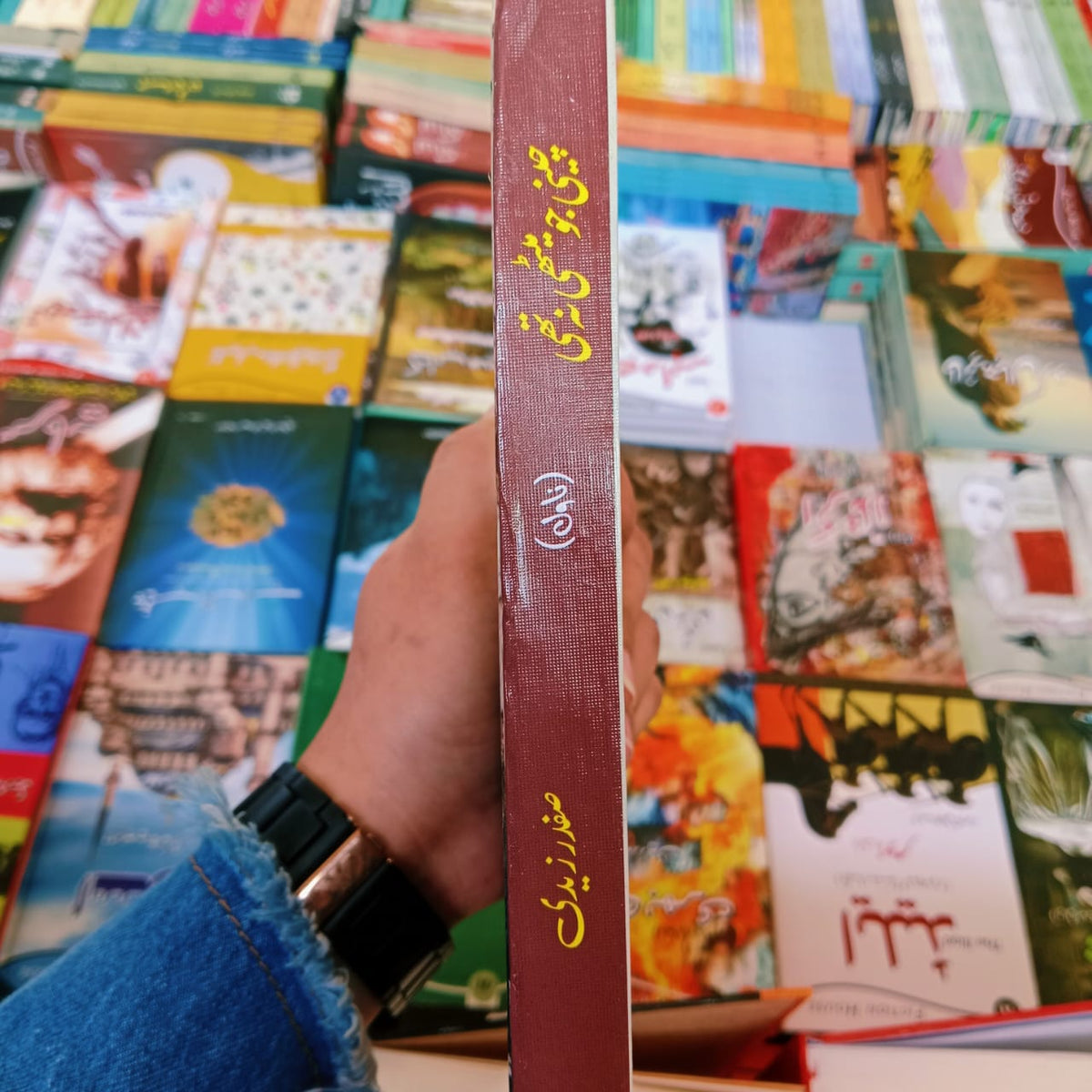 3 Books set Bhagg Bhari | Safdar Nawaid Zaidi | Cheni Jo Mithi Na Thi | Bint e Dahir