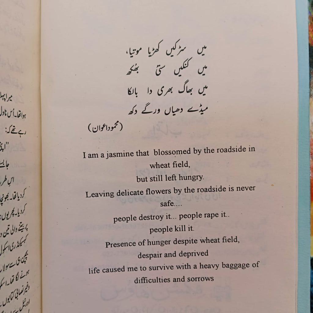 3 Books set Bhagg Bhari | Safdar Nawaid Zaidi | Cheni Jo Mithi Na Thi | Bint e Dahir