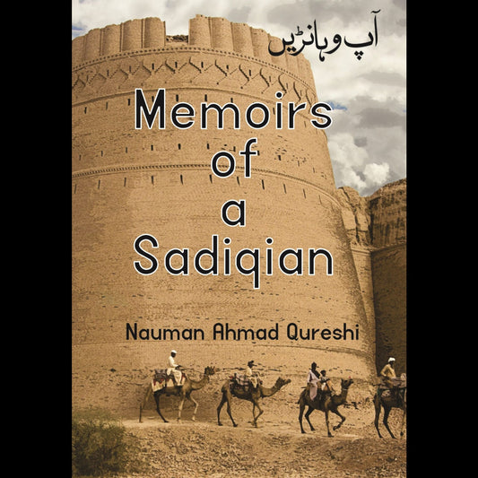 Memoirs of a Sadiqain Fiction House