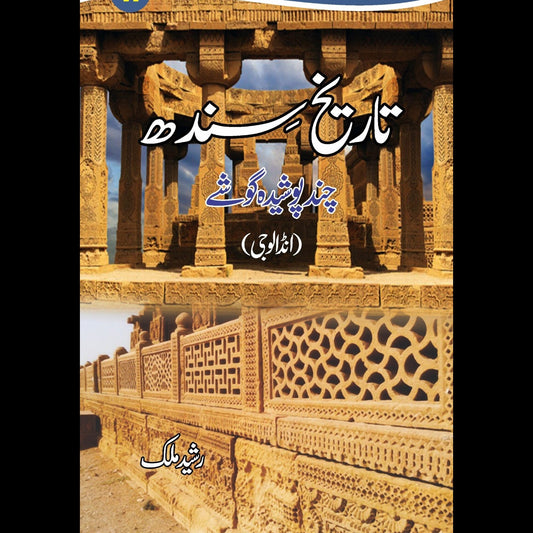 تاریخ سندھ چند پوشیدہ گوشے |  Tareekh Sindh Fiction House
