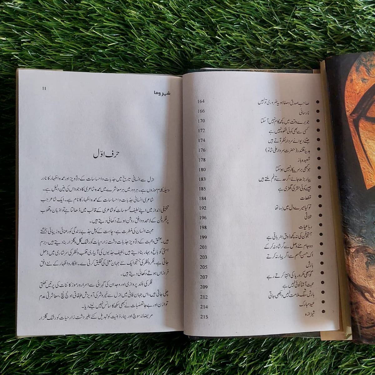 شہرِ وفا، اختر چیمہ