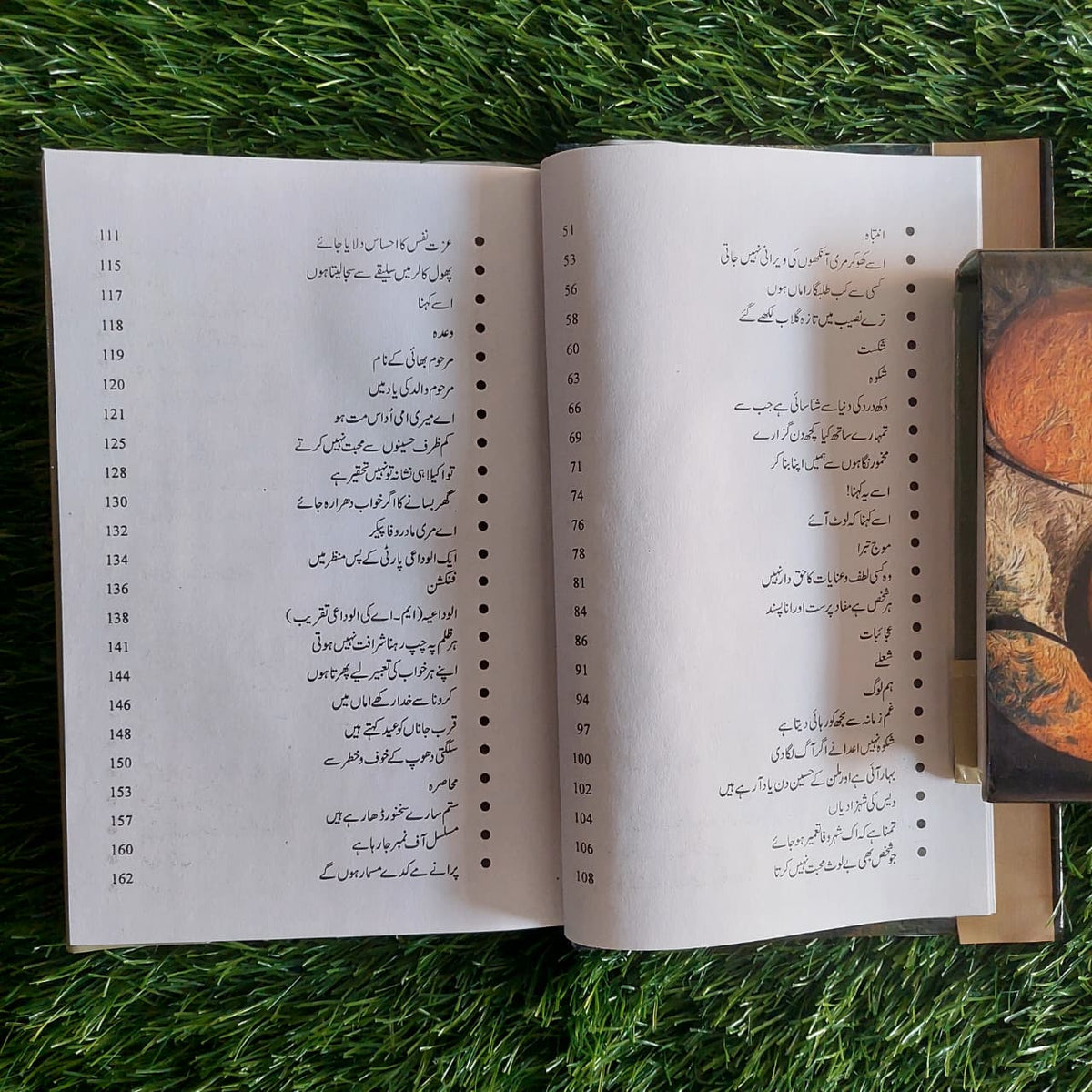 شہرِ وفا، اختر چیمہ