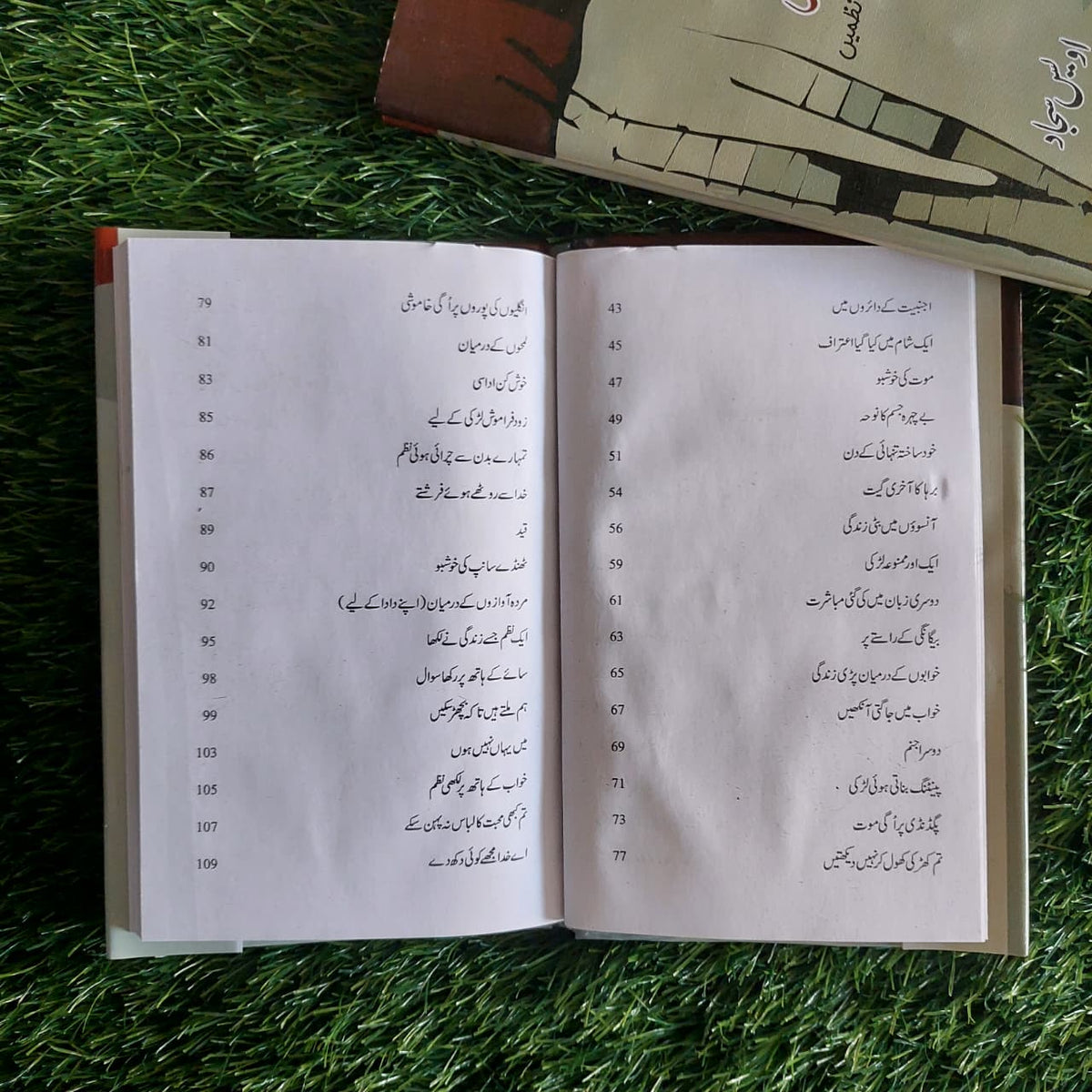 بیگانگی کے راستے پر
