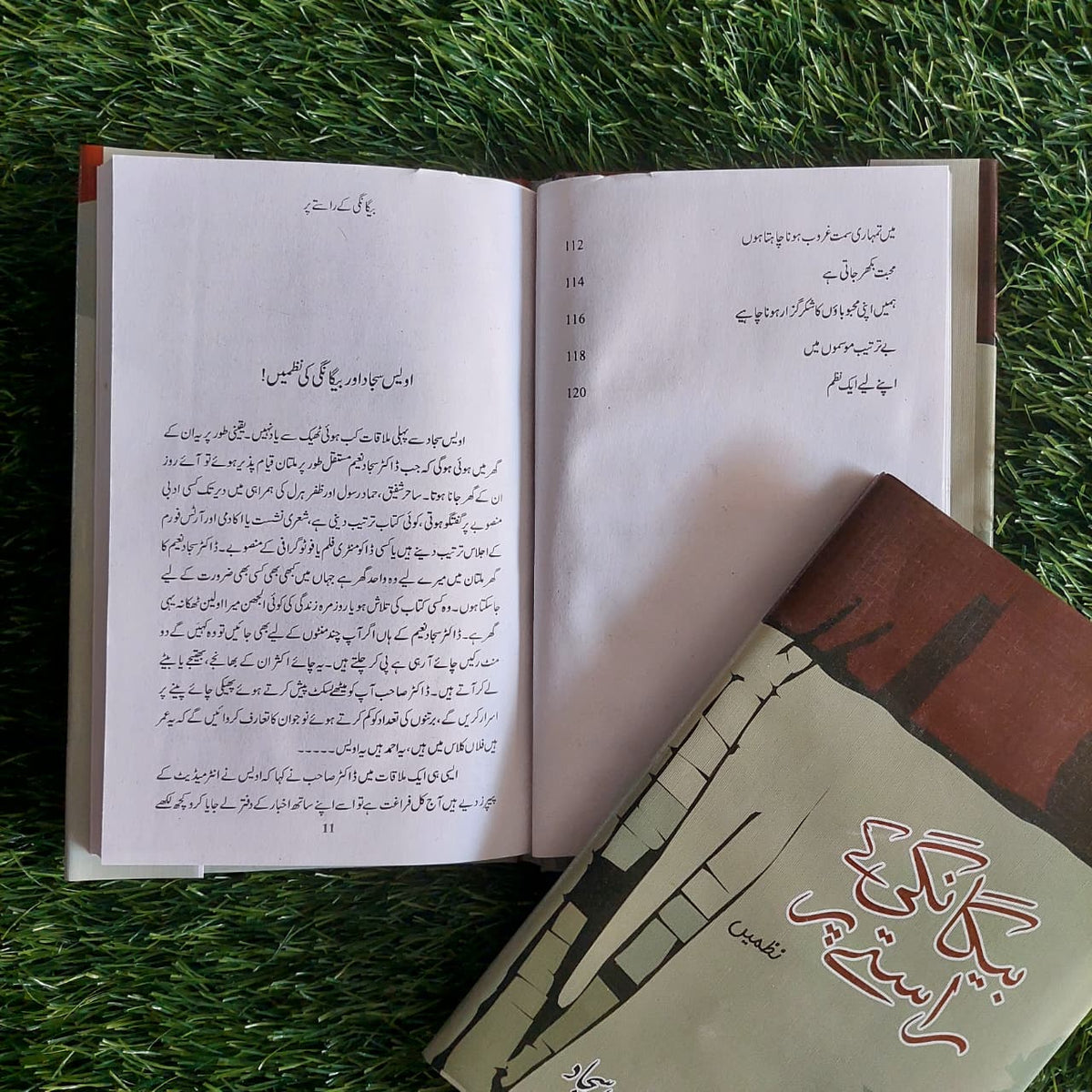 بیگانگی کے راستے پر