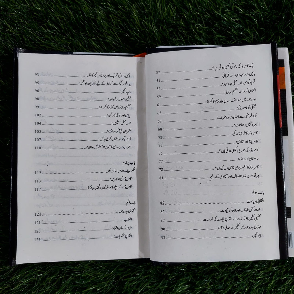 پیارے کامریڈ احمد خان ندیم