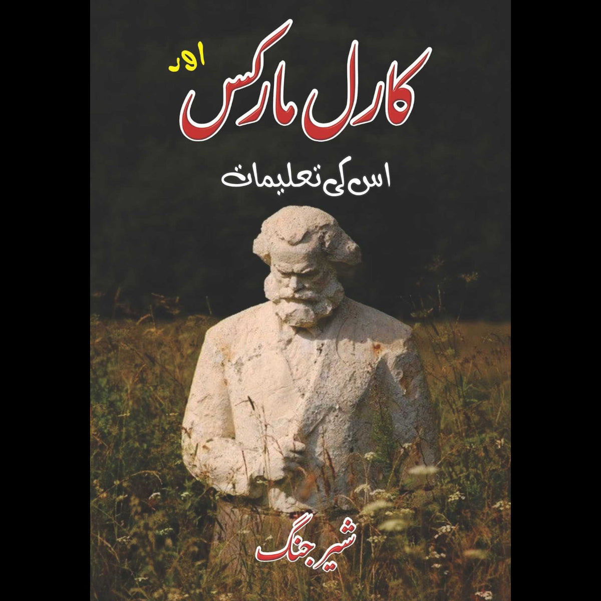 کارل مارکس اور اس کی تعلیمات | شیر جنگ