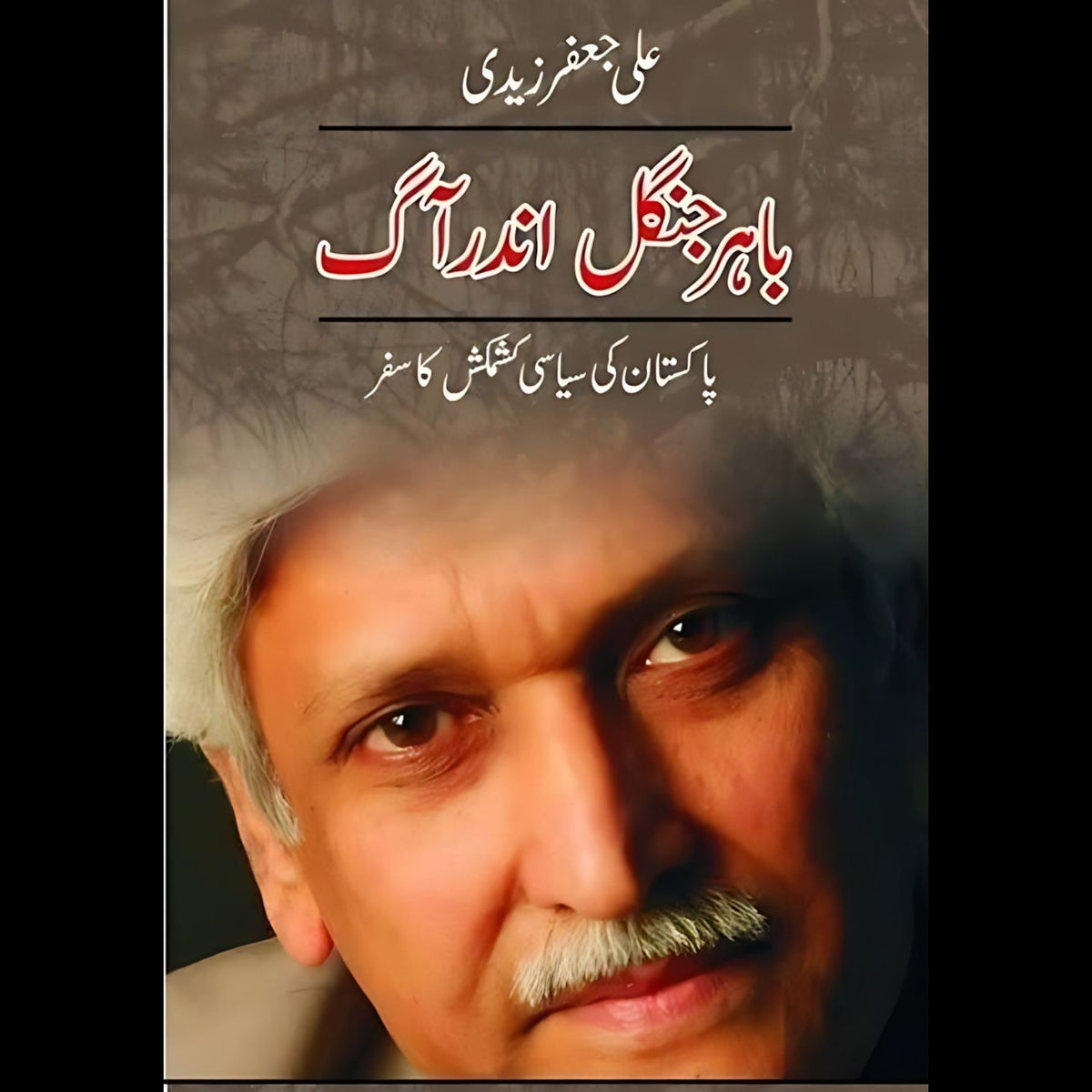 باہر جنگل اندر آگ |  علی جعفر زیدی