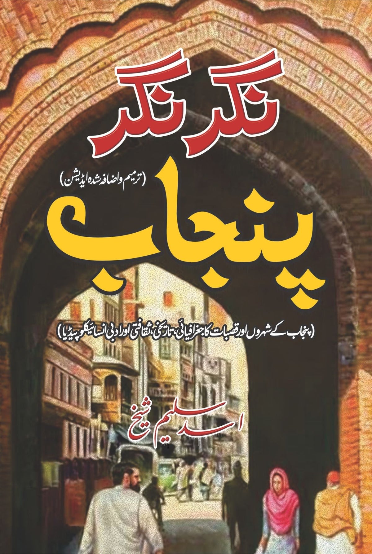 نگر نگر پنجاب | Nagr Nagr Punjab |  اسد سلیم شیخ