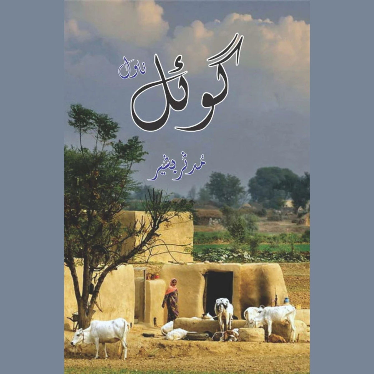 Goyal | Noval | Mudassar Bashir گوئل (پنجابی ناول) مدثر بشیر