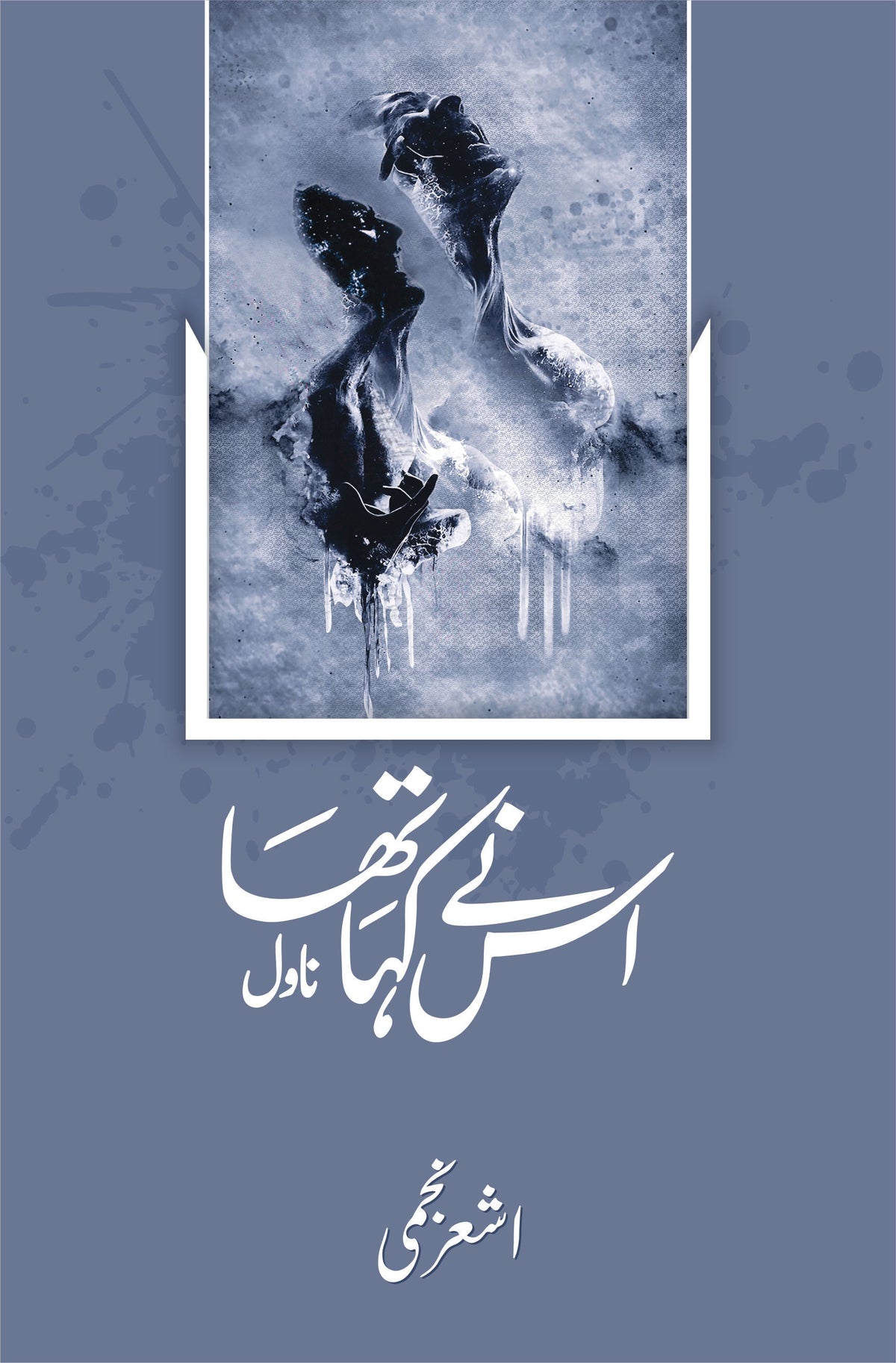 ہم نے کہا تھا اس نے کہا تھا (ناول)