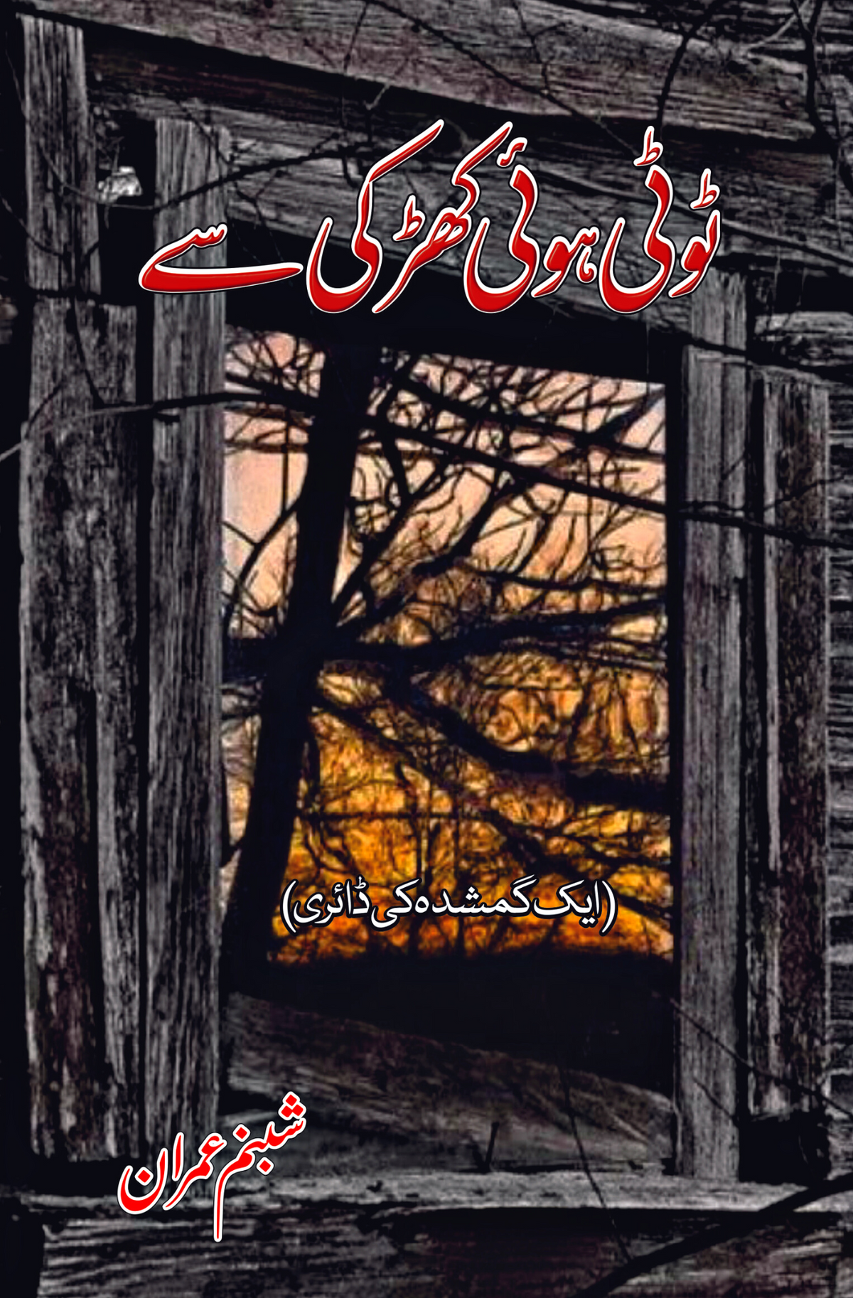 ٹوٹی ہوئی خیرکی ٹوٹی ہوئی کھڑکی سے | شبنم عمران
